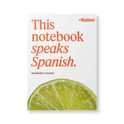Vocabulary Notebook for Spanish Learners
